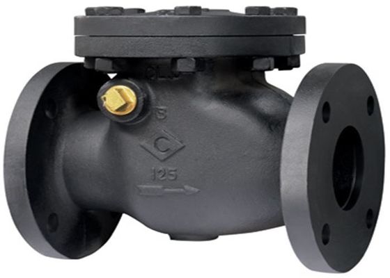 ANSI Rustproof Cast Iron Swing Check Valve , Hydraulic Swing Check Valve Flanged