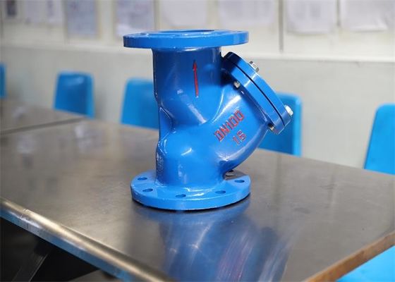 Dn40 Short Structure Y Type Strainer Valve Flange Ends Connection