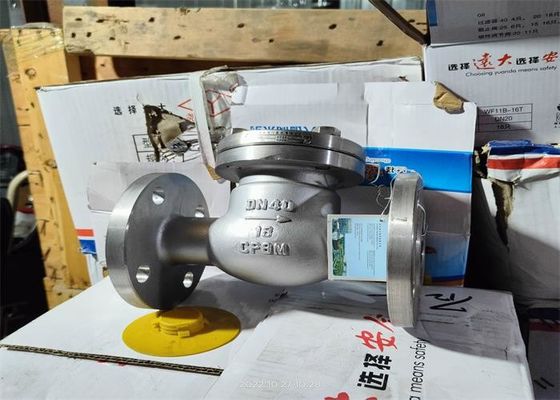 Corrosive Medium Flanged Swing Check Valve Stainless Steel Body
