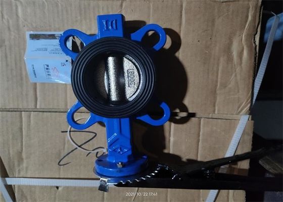 API DIN 2 Inch Wafer Butterfly Valve PN1.0/1.6Mpa Pinless Cast Iron