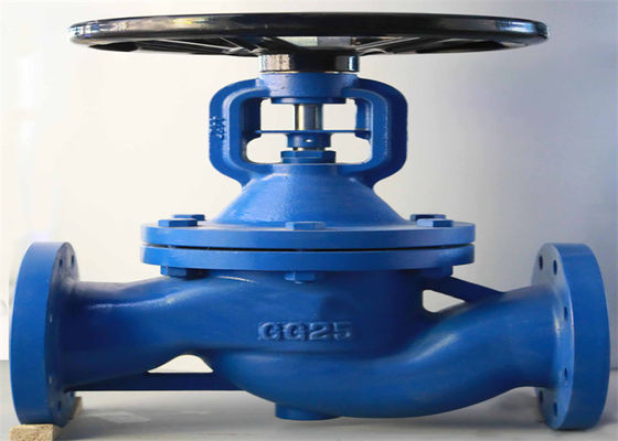Stainless Steel DIN GG25 Globe Valve PN16 Manual High Temperature Resistance
